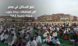 ارتفاع عدد السكان في مصر إلى 92 مليون نسمة