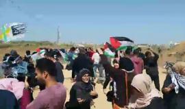 #مباشر فعالية اطلاق طائرات ورقية في المناطق الحدودية الشرقية لـ غزة ضمن فعاليات #مسيرة_العودة_الكبرى
تصوير عبد الرحمن الكحلوت