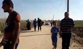 المشاركين في جمعة #ثوار_القدس_والاقصى