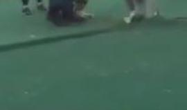 #شاهد نمر يهاجم طفلة في معرض بسكاكا بمنطقة الجوف بالسعودية