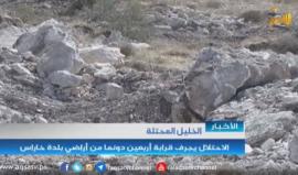 الاحتلاال يجرف قرابة أربعين دونما من أراضي بلدة خاراس