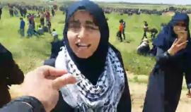 #مباشر مشاركة النساء في #مسيرة_العودة_الكبرى شرق غزة

تصوير: عبد الرحمن الكحلوت