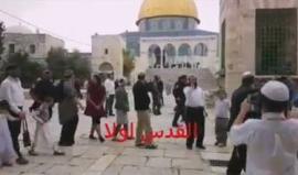 #شاهد 225 مستوطنا اقتحموا باحات المسجد الاقصى منذ الصباح