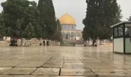 المسجد الأقصى يحتضن الأمطار
