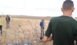 شبان يقتتطعون السلك شرق جباليا

بث انس الشريف