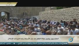 #مباشر مقدسيون يؤدون صلاة الظهر عند باب الأسباط أحد أبواب الأقصى رفضا لاجراءات الاحتلال