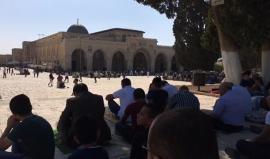 #مباشر : خطبة الجمعة في المسجد الاقصى المبارك