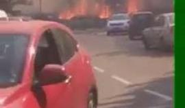 فيديو من الحرائق المشتعلة شمال فلسطين المحتلة