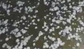 تساقط حبات البرد في مدينة "أم الرشراش" جنوب فلسطين المحتلة صباح اليوم