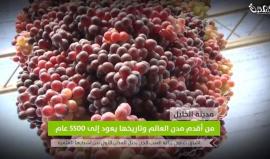 مدينة #الخليل .. من أقدم مدن العالم وتاريخها يعود إلى 5500 عام 
(بصمة)