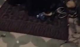 #شاهد الصحفي على دار علي من داخل أحد المنازل الذي ارتقى فيه شاب برصاص قوات الاحتلال في رام الله