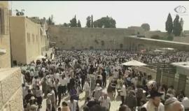 مخطط تهويدي جديد يستهدف المدخل الرئيس لمدينة القدس - أماني الحسين