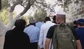 #فيديو الاحتلال يستأنف اقتحامات المسجد الأقصى المبارك بحماية أمنية