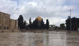 #فيديو تساقط الأمطار في المسجد الأقصى المبارك

تصوير: Fatima Abed Bakri