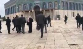 #شاهد.. ‏بينهم وزير الخارجية السنغالي.. 67 مستوطنًا يقتحمون باحات المسجد الأقصى بحماية قوات الاحتلال، منذ ساعات الصباح.