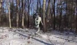 #شاهد  روبوت أطلس أصبح بإمكانه المشي على الأرض الوعرة !