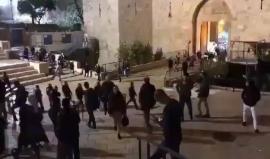 بشكل وحشي.. قوات الاحتلال تعتدي على المقدسيين في منطقة باب العامود قبل قليل.