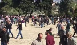 #شاهد ٥٠ ألف مصل أدوا صلاة الجمعة في المسجد الأقصى المبارك