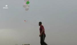 فيديو يظهر حرق شبان فلسطينيون لمحاصيل الاحتلال الزراعية شرق #غزة بواسطة بالونات حارقة