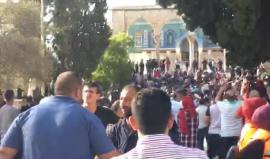 #مباشر #عاجل : قوات الاحتلال تقتحم المسجد الاقصى وتعتدي على المصليين