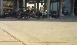 #بث_مباشر من باحات المسجد الأقصى المبارك