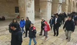 فيديو - مستوطنون يقتحمون الأقصى منذ الصباح