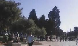 متابعة من المسجد الاقصى المبارك ..
أصوات المرابطين تصدح بالتكبير والاحتلال يحاول اقتحام المصلى القبلي ويطلق قنابل الغاز ويصيب ويعتقل عدداً من المرابطين..