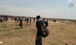 #شاهد الاسيرة المحررة في صفقة وفاء الأحرار " وفاء البس" تشارك الثوار #مسيرة_وفاء_الأحرار شرق غزة