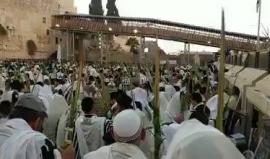 #فيديو اليهود يحتفلون بأعيادهم عند حائط البراق - المسجد الأقصى