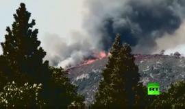 حرائق غابات تجتاح كاليفورنيا الأمريكية