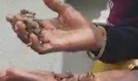 وجد عشًا للدبابير في منزله .. هاشد ماذا فعل به!