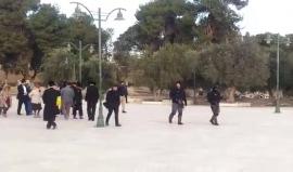 #فيديو مستوطنون يقتحمون باحات المسجد الأقصى صباح اليوم