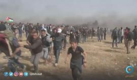 الفلسطينيون ينتفضون سلمياً في وجه الاحتلال على حدود غزة