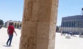 #بث_مباشر صلاة الجمعـة في المسـجد الأقصى المبارك