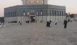 #مباشر .. رفع آذان المغرب في باحات المسجد الأقصى المبارك