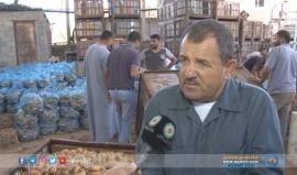 #غزة | خسائر كبيرة يتكبدها المزارعون بسبب تواصل أزمة الكهرباء 
تقرير | محمد الداهودي