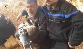 "ياريتني أنا ميّت يا ولدي" أب يودّع طفله بحرقة بعد أن استشهد بقصف النظام السوري على #الغوطة_الشرقية.
