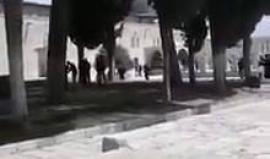 #عاجل | مواجهات بين الشبان وقوات الاحتلال في المسجد الاقصى المبارك قبل قليل .