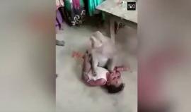 #شاهد| قرد يخطف طفلا من والديه ويهدد من يقترب منه! 

الحدث في  قرية كارناتاكا الهندية