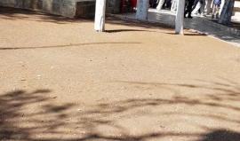 قطعان المستوطنين تقتحم باحات المسجد الاقصى بأعداد كبيرة وسط حماية مشددة من قوات الاحتلال