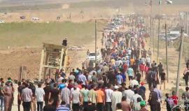 شاهد: رسائل المشاركين في جمعة #ثوار_للقدس_والاقصى بمخيم العودة شرق غزة 

مونتاج: محمد قزعاط