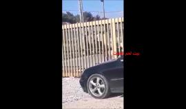 #شاهد قوات الاحتلال تعتقل مواطن من بيت لحم على مدخل "مستوطنة افرات"