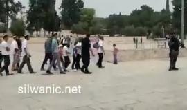 #شاهد قطعان المستوطنين يقتحمون باحات المسجد الأقصى المبارك