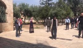 #فيديو قطعان المستوطنين يقتحمون باحات المسجد الاقصى المبارك بحماية قوات الاحتلال