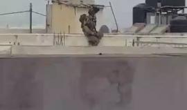#شاهد .. قوات الاحتلال تعتلي أسطح المنازل عقب اقتحامها بلدة بدرس غربي رام الله قبل قليل.