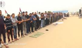 #شاهد

#فيديو مشاهد من خيمة العودة وتوافد المواطنين وسط القطاع في #جمعة_عمال_فلسطين_الصامدين

#أنا_راجع