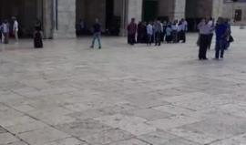 #مباشر.. دعوات شبابية للتواجد المكثف في المسجد الاقصى المبارك صباح غد والتصدي لاقتحامات أعلن عنها المستوطنون
#اغضب_للأقصى