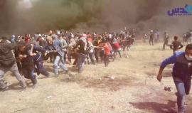 ثائرون .. والأرض لنا 
#جمعة_الشباب_الثائر