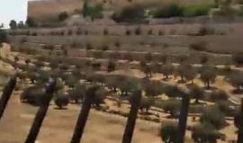 #شاهد جمال سور القدس من منطقة "وادي الجوز" شرقي #المسجد_الاقصى المبارك ..