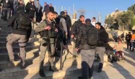 الاحتلال يمنع مقدسيات من تنظيم وقفة في باب العامود بالقدس تضامنا الأسيرة إسراء الجعابيص

تصوير: لواء أبو ارميلة
